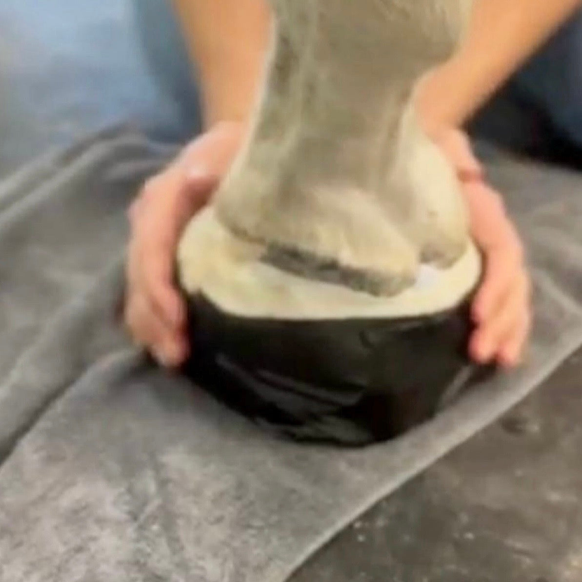 HoofSeal Pro™ – Waterproof Flexible Hoof Seal Bandage for Horses