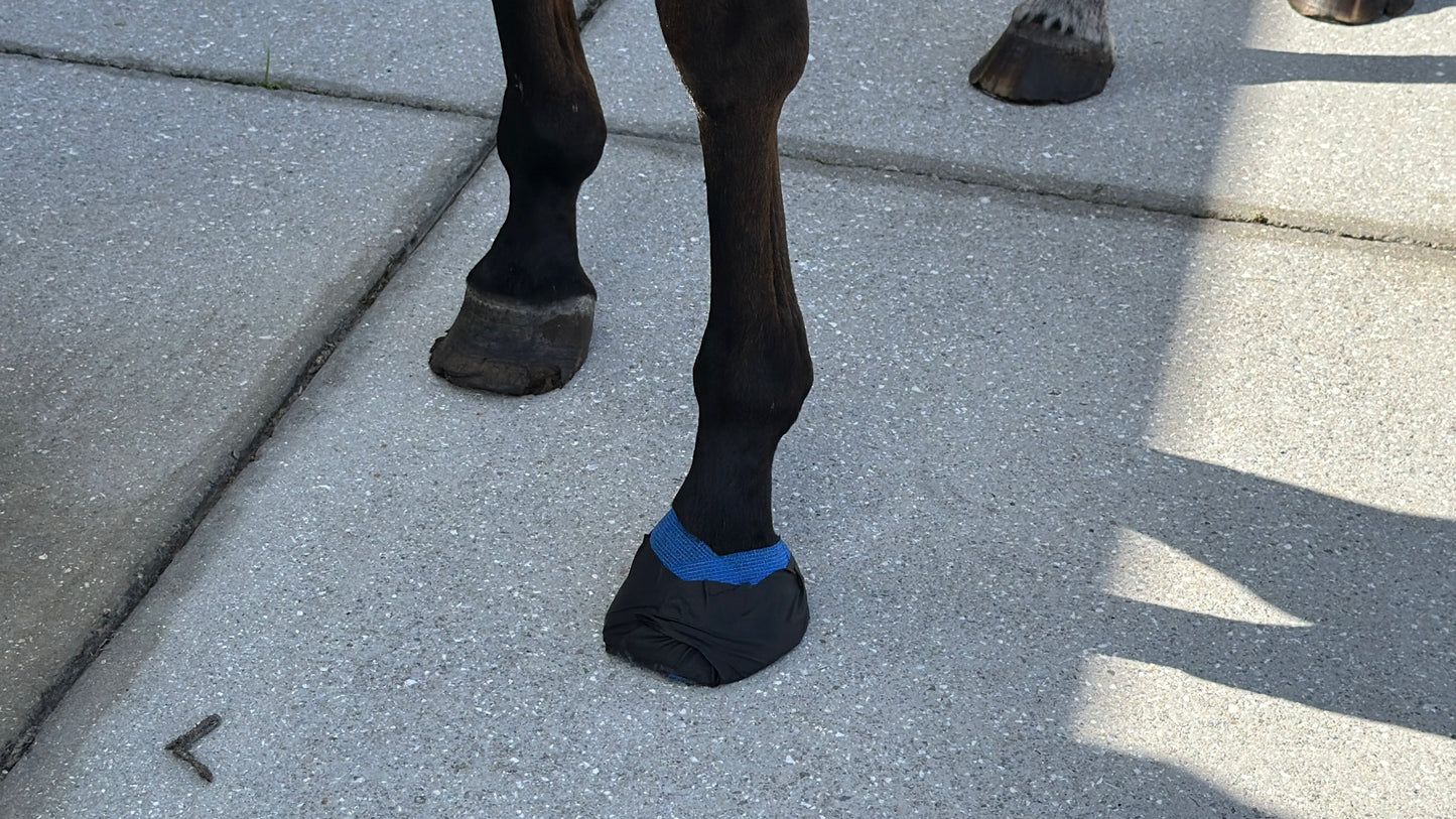 HoofSeal Pro™ – Waterproof Flexible Hoof Seal Bandage for Horses