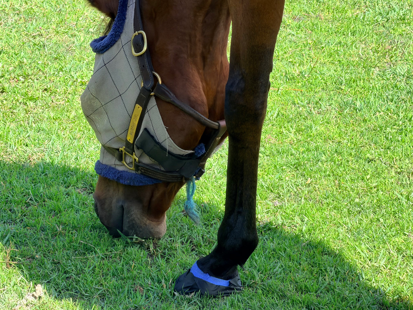 HoofSeal Pro™ – Waterproof Flexible Hoof Seal Bandage for Horses